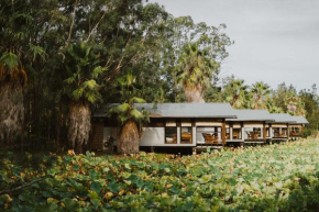 Leaves & Fishes - Private group escape in the Hunter Valley